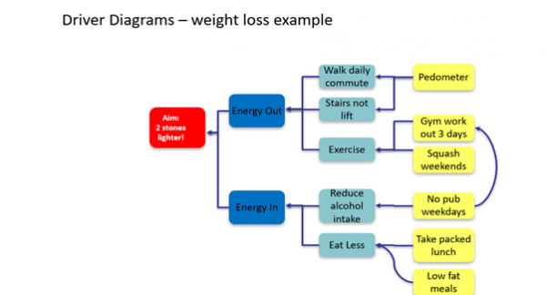 Driver Diagram Example