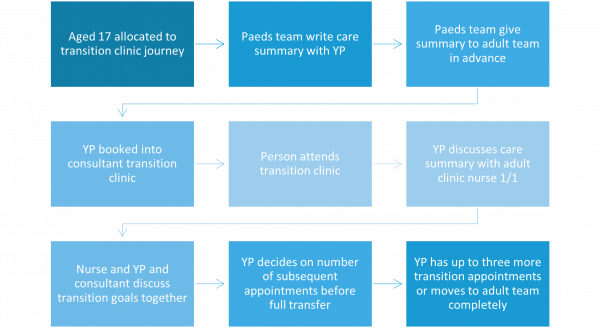 Process Map diagram HEE SW