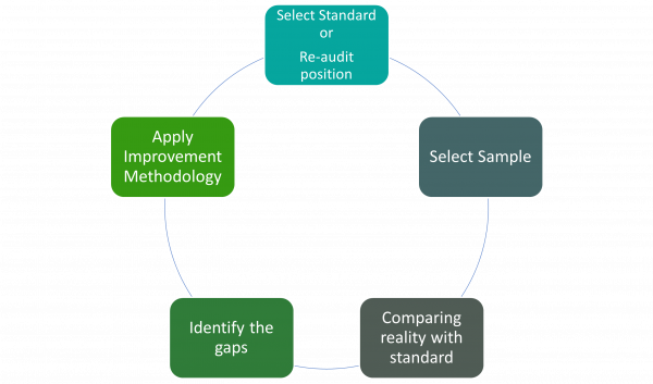 ES Page Audit Loop Image